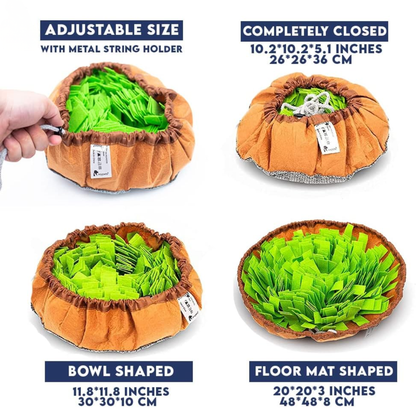 Slow Feed Sniffing Mat